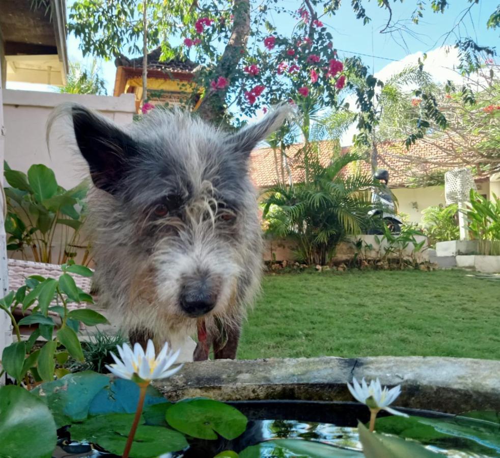 Villa Ricca Eco Lodge Uluwatu Zewnętrze zdjęcie